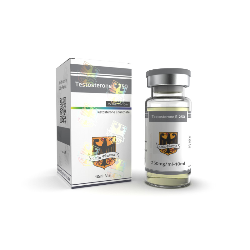 Testosterone E 250